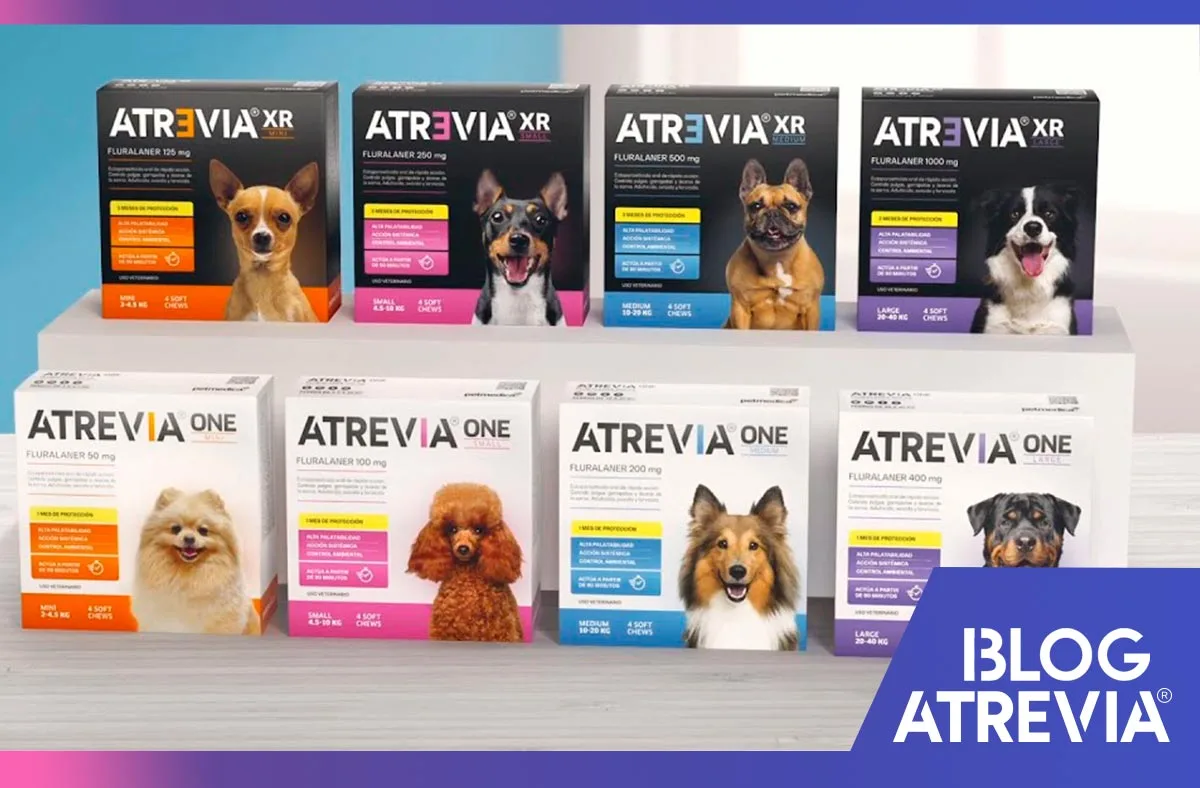 tabletas antiparasitarias atrevia presentaciones para perros