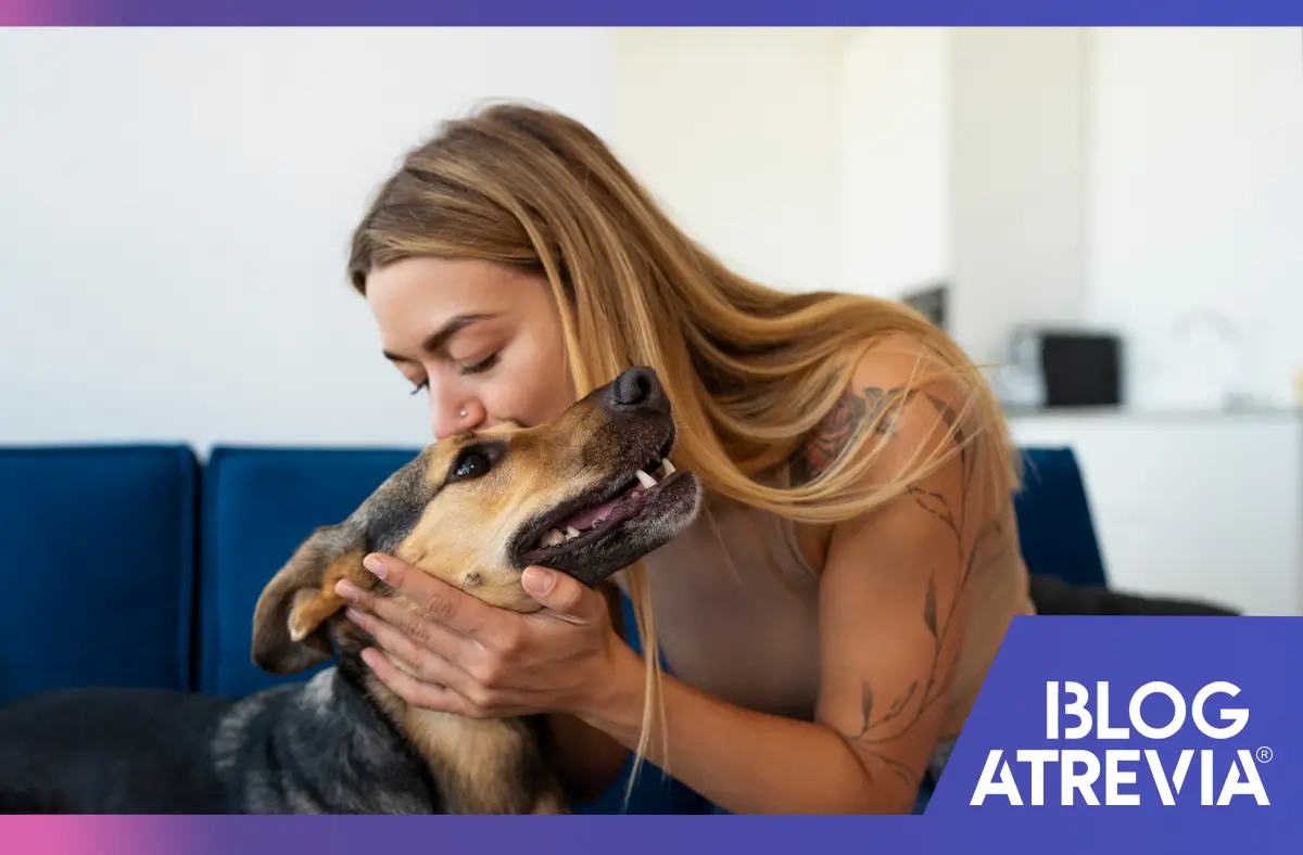 Pastilla para la sarna de perros: 5 consejos útiles